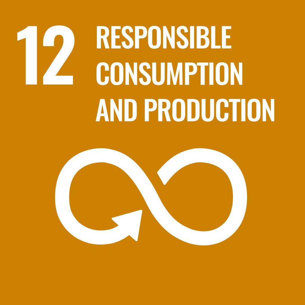 SDG-12-Responsible consumption 